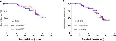 Single versus multiple hyperthermic intraperitoneal chemotherapy applications for T4 gastric cancer patients: Efficacy and safety profiles